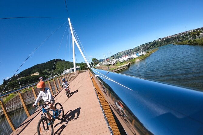 Non-Electric Bike Rental - Overview and Location