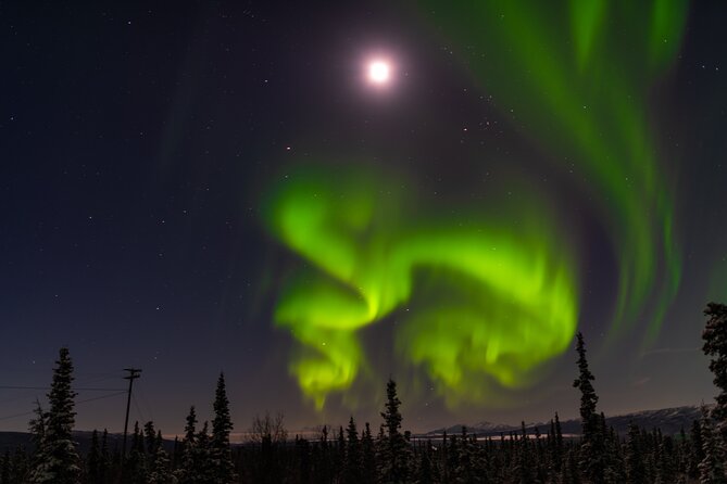 northern-lights-adventure-of-a-liftetime-from-anchorage-overview-of-the-tour