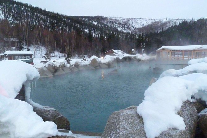 Northern Lights and Chena Hot Springs Night Tour From Fairbanks - Tour Overview