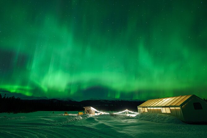 Northern Lights & Aurora Borealis Viewing - Small Groups - Overview of the Tour