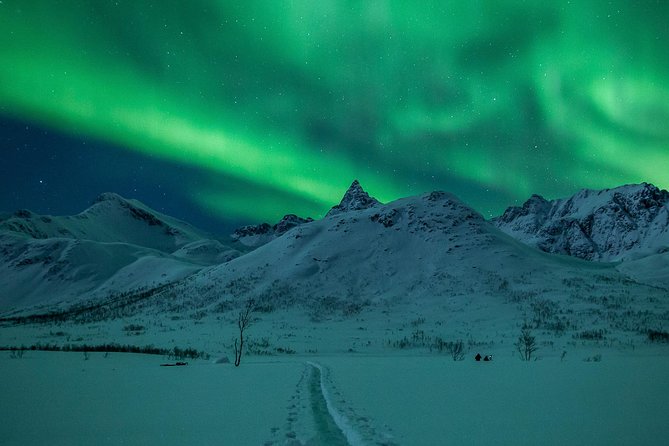 Northern Lights Tour From Tromsø - Overview of the Tour