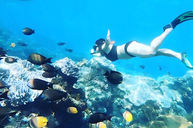 Nusa Penida Island Beach Tour With Snorkeling - Departure From Bali Island - Overview of Nusa Penida Island