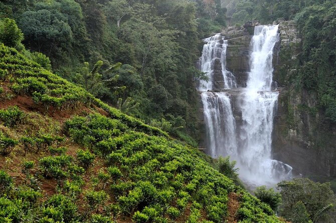 Nuwara Eilya Sightseeings Day Tours With Krishna - Explore Nuwara Eliyas Scenic Wonders