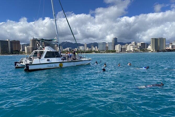 OAHU CATAMARAN Snorkel W/Turtles Waikiki SEE TURTLES GUARANTEED