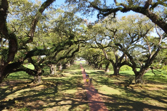 Oak Alley Plantation Half-Day Tour From New Orleans - Whats Included in the Tour