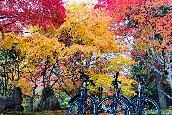 Oasa Country Cycling (Easy Access From Hiroshima 1 Hr Scenic Bus)