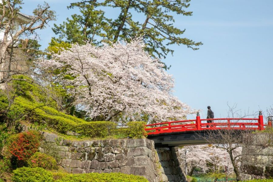 odawara-odawara-castle-tenshukaku-entrance-ticket-overview-of-odawara-castle