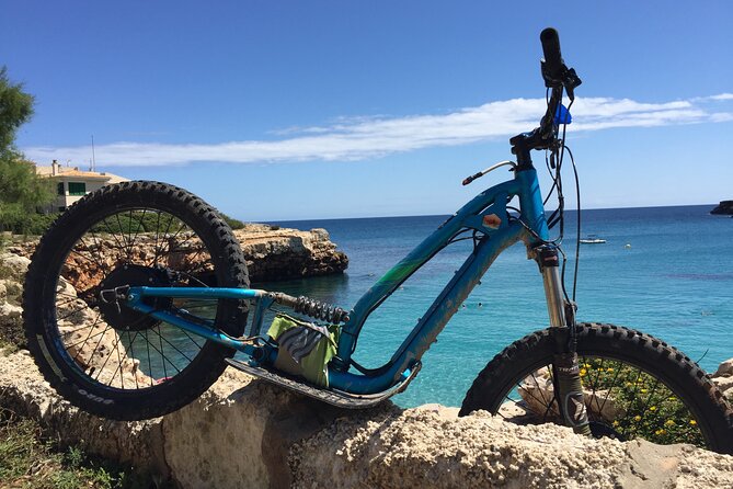 Off Road E-Scooters Adventure North Mallorca - Overview of the Experience