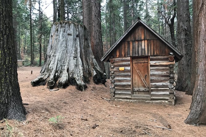 off-road-giant-sequoia-4x4-tour-overview-of-the-tour
