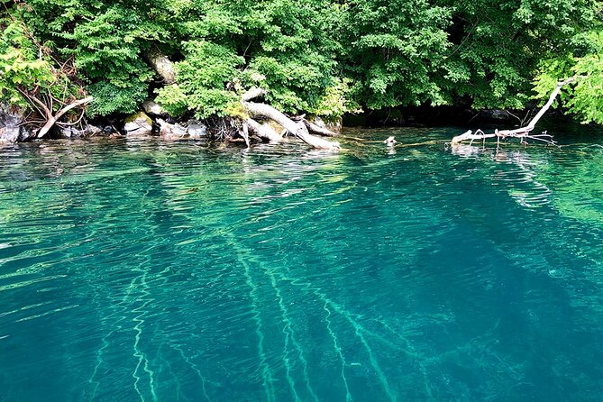 oirase-gorge-and-lake-towada-day-hike-with-government-licensed-guide-overview-of-the-day-hike