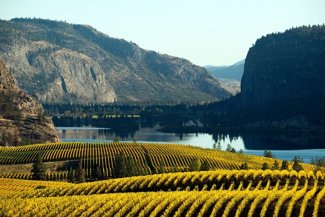 Okanagan Falls Wine Experience From Vernon – 4 Wineries
