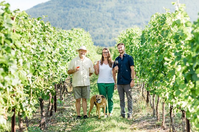 okanagan-falls-wine-tour-classic-4-wineries-tour-overview
