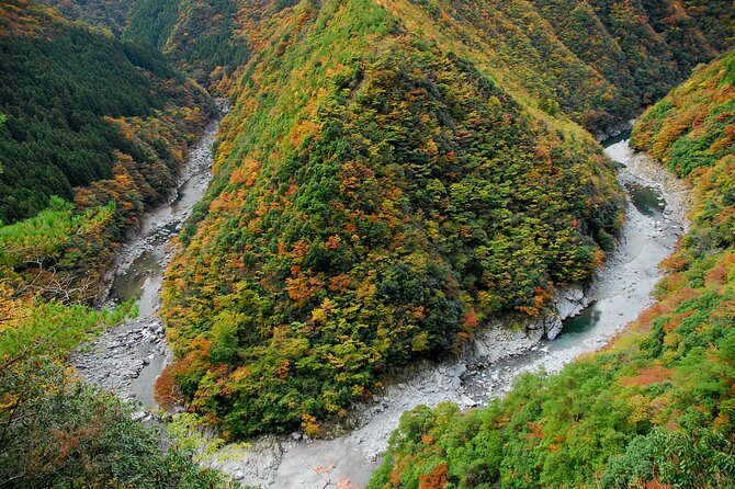 oku-iya-cab-6-hour-tour-tokushima-shikoku-overview-of-the-activity