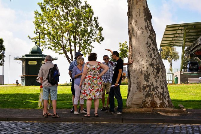 Old Funchal Walking Tour