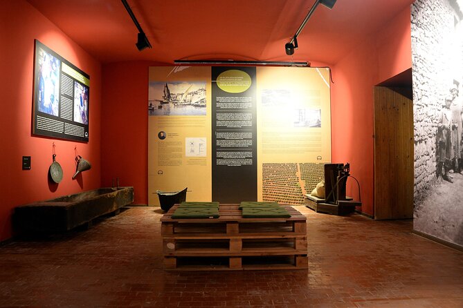 Olive Oil Guided Tasting and History in Pula