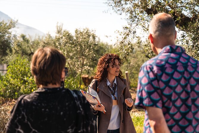 Olive Oil Tour & Tasting With Lunch in Kalamata, Messinia, Greece!