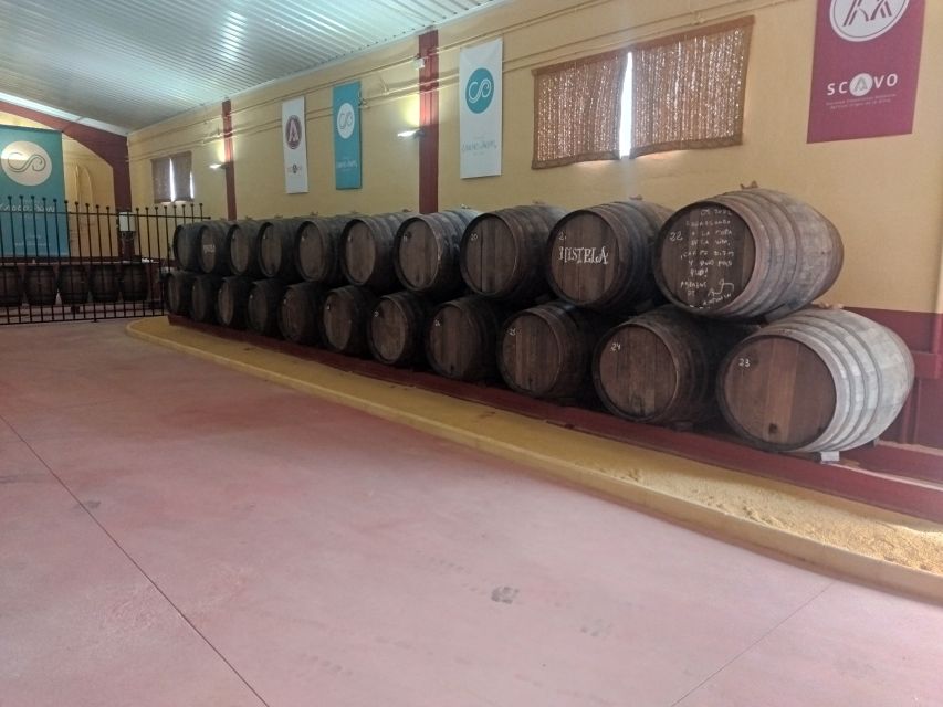 OLIVE OIL & WINE TOUR Organic Cooperative 5Wines+3Olive Oils - Tour Details