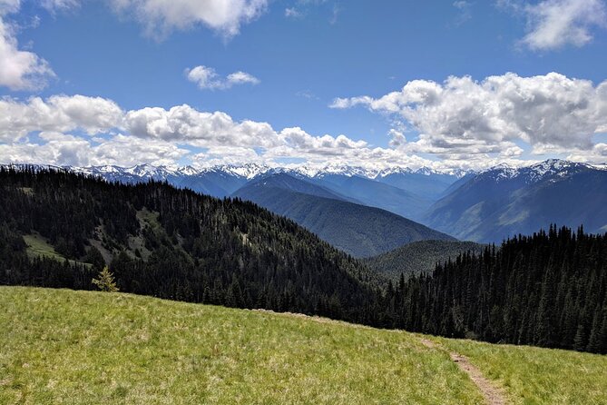 olympic-national-park-private-luxury-day-tour-with-lunch-tour-overview
