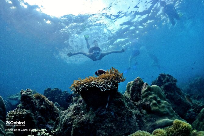 Onbird - PRIVATE ADVENTURE SNORKELING - Explore Half-Moon Reef & Coral Mountain - Inclusions and Highlights