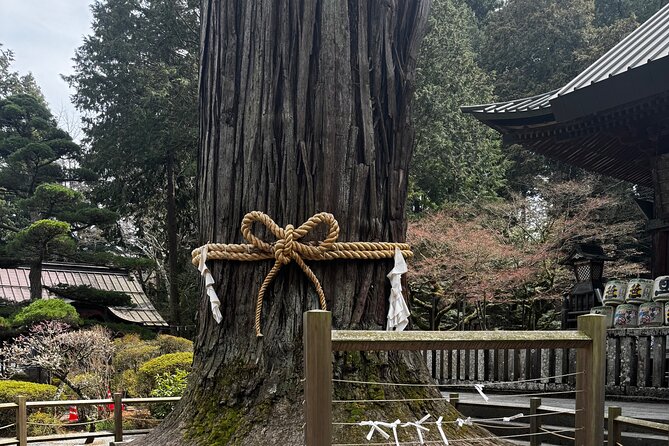 one-day-mountain-fuji-hakone-tour-with-english-hindi-bilingual-tour-overview