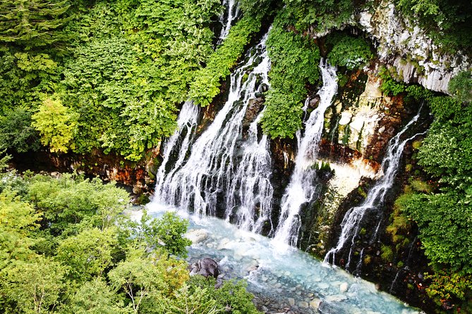 one-day-sightseeing-by-private-car-in-biei-furano-pickup-and-transportation-arrangements