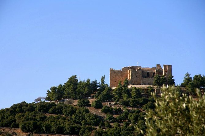One Day Trip to Jerash & Ajloun Castle