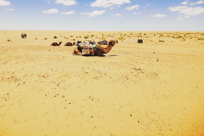 One Night Under the Tent: Tataouine - Chenini - Ksar Ghilane - Matmata - Trip Overview