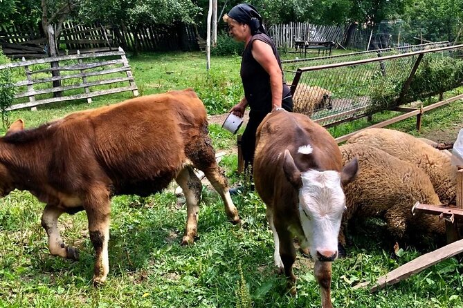 Original Carpathian Village Experience and Sinaia in One Day Tour - Village Immersion