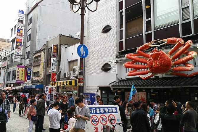 Osaka Castle & Dotonbori Lively One Day Tour - Tour Overview