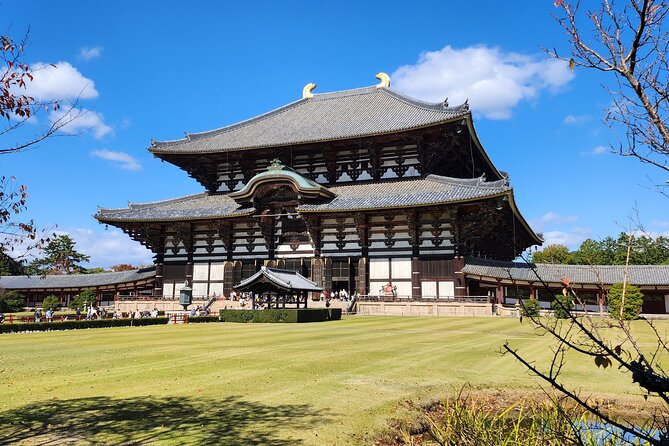 Osaka Dep, Nara Small Group Full Day Tour
