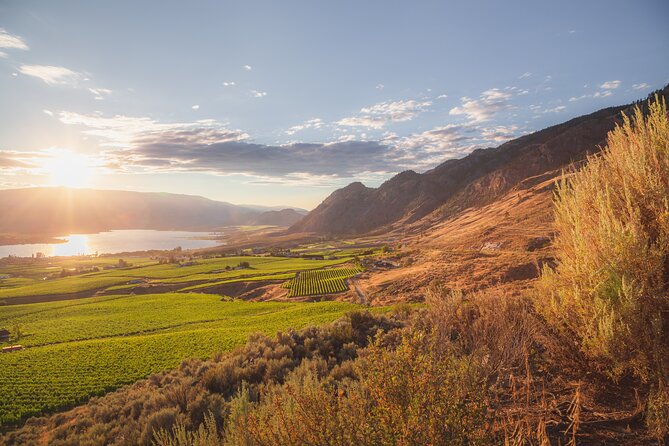 osoyoos-oliver-sip-disturber-half-day-wine-tour-tour-highlights