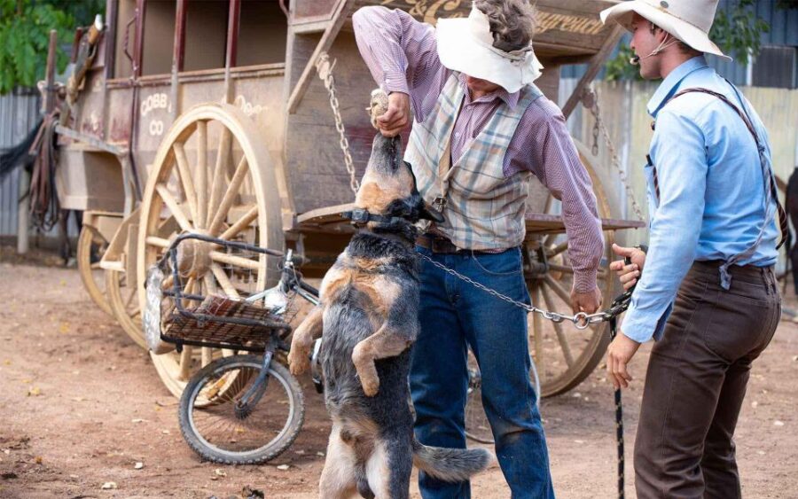 outback-queensland-unleashing-longreach-holiday-6-days-package-overview