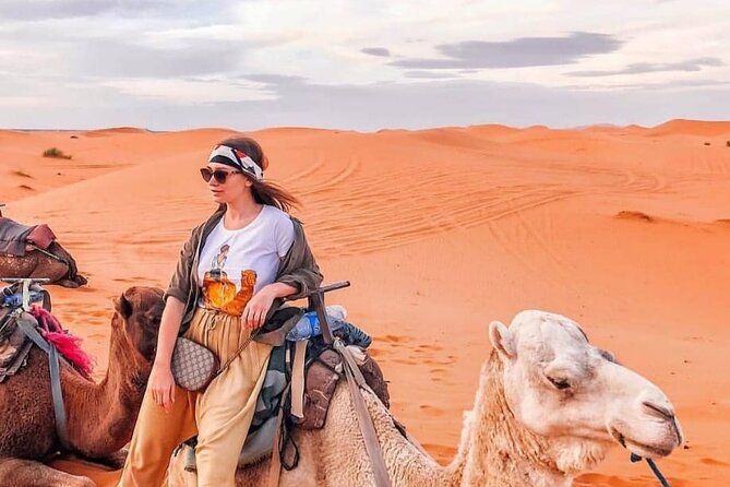 Overnight Stay in Desert Camp & Camel Trekking in the Sahara