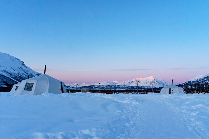 overnight-stay-with-reindeer-sledding-feeding-tour-overview