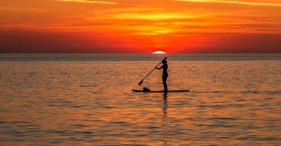 paddle-board-rental-glide-on-the-water-with-ease-activity-overview