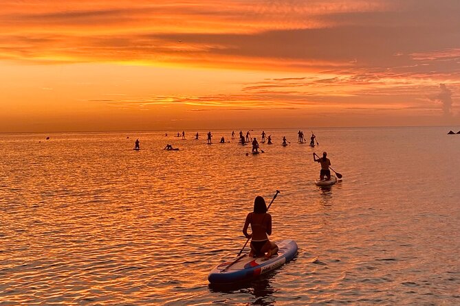 Paddle Surf in Barcelona