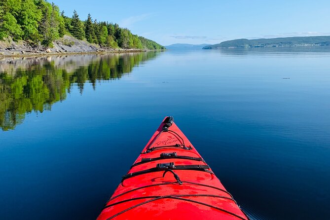 paddle-the-bay-of-islands-2-hours-guided-kayak-experience-meeting-point-and-pickup