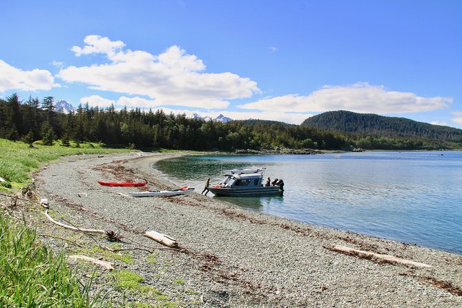 paddle-with-whales-kayak-adventure-overview-of-the-tour
