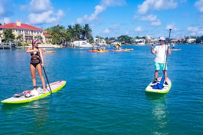 paddleboard-tour-through-lido-mangrove-tunnels-exploring-the-lido-mangrove-tunnels