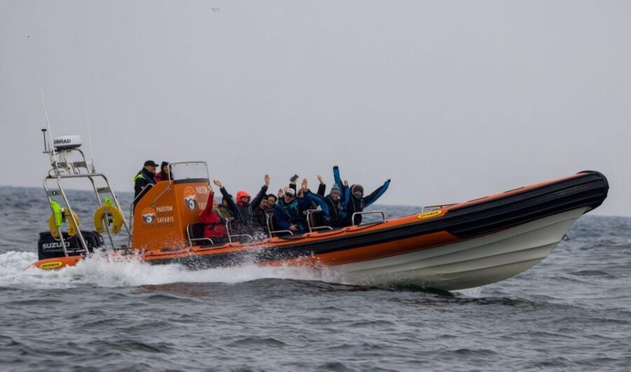 padstow-guided-rib-sealife-safari-scenic-landscapes-of-the-wild-north