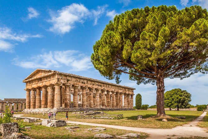 Paestum: Private Tour of Greek Temples and Archaeological Museum - Guide and Experience