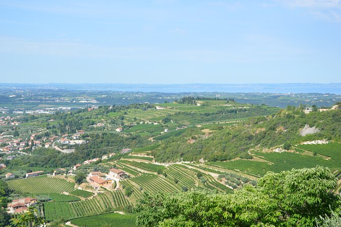 Pagus Wine Tours® - a Taste of Valpolicella - Half Day Wine Tour