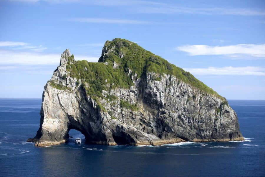 Paihia/Russell: Hole in the Rock and Bay of Islands Cruise - Tour Overview and Pricing