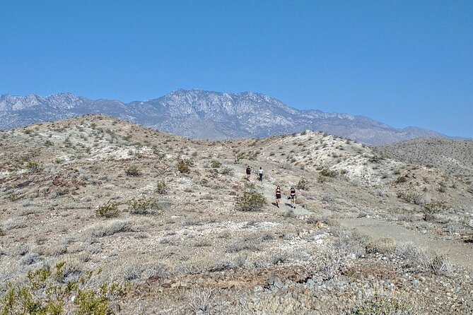 Palm Springs Hike to an Oasis and Amazing Desert Views - Tour Overview