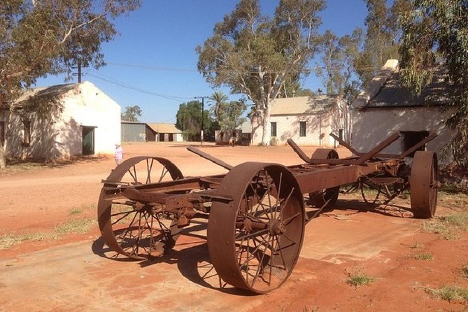 Palm Valley 4WD Day Tour