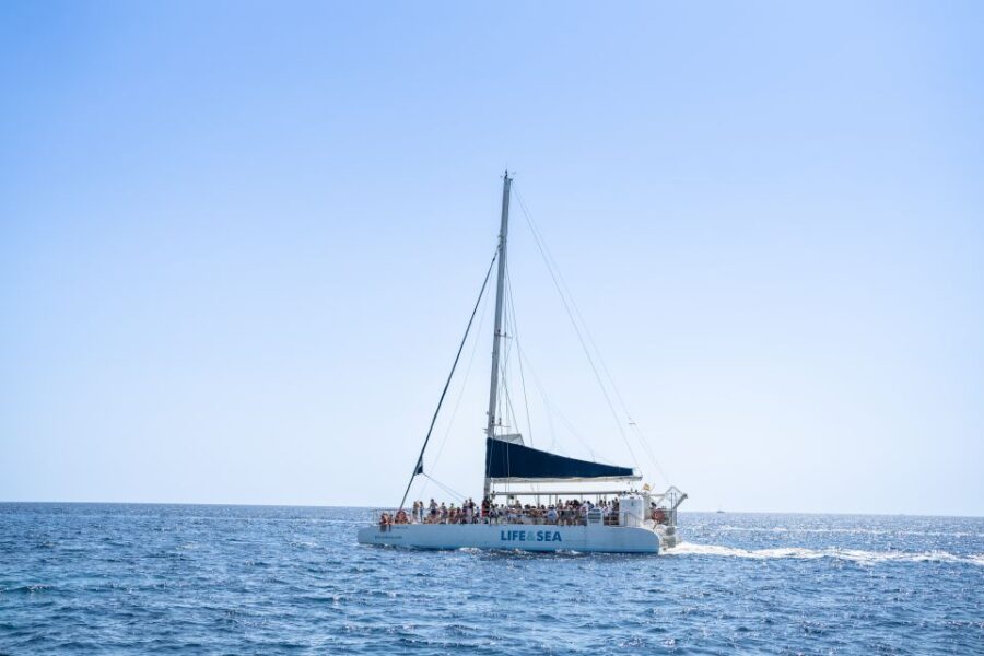 Palma: Catamaran Cruise With Swimming and Snorkelling - Overview of the Catamaran Cruise