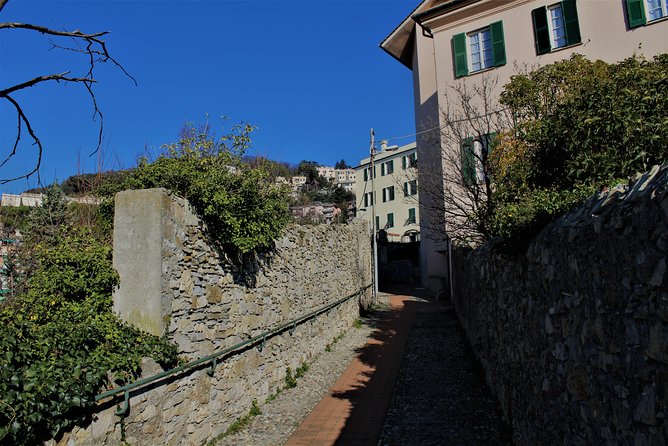 Panoramic Tour Across the Creuze With a Storyteller