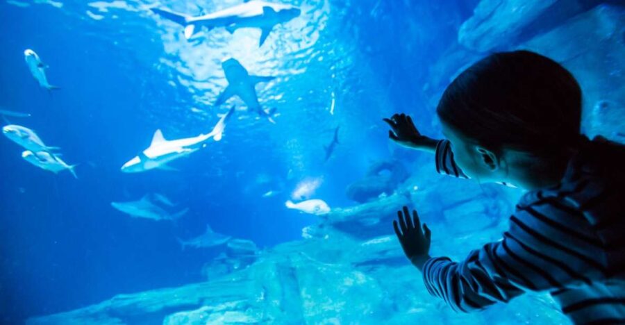 paris-aquarium-de-paris-entrance-ticket-overview-of-the-aquarium