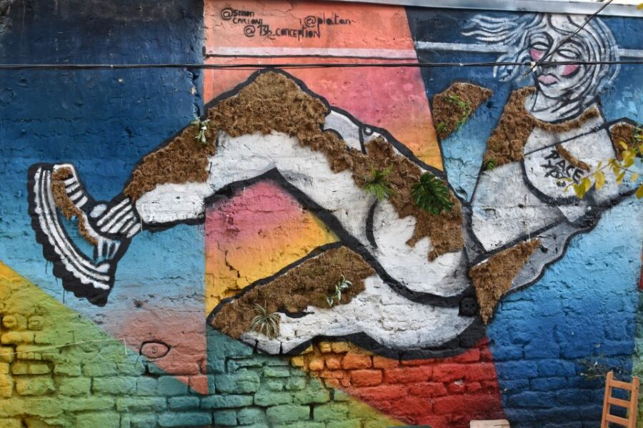 paris-belleville-street-art-tour-with-an-artist-exploring-the-belleville-neighborhood