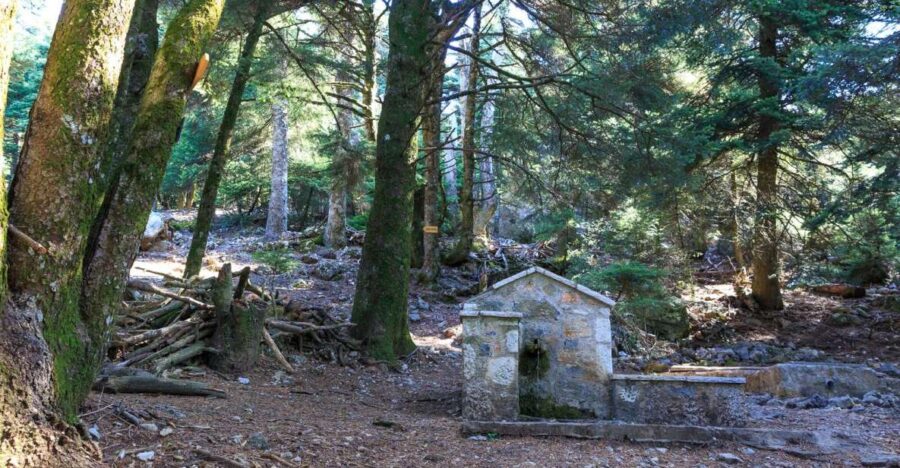 Parnitha (Parnis) / Skipiza & Mola Loop - Hike Near Athens - Activity Duration and Cancellation Policy